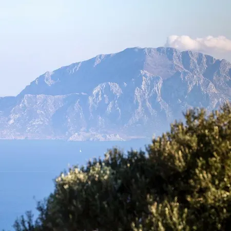 Pajaro En Tarifa Con Vistas A Africa וילה El Bujeo